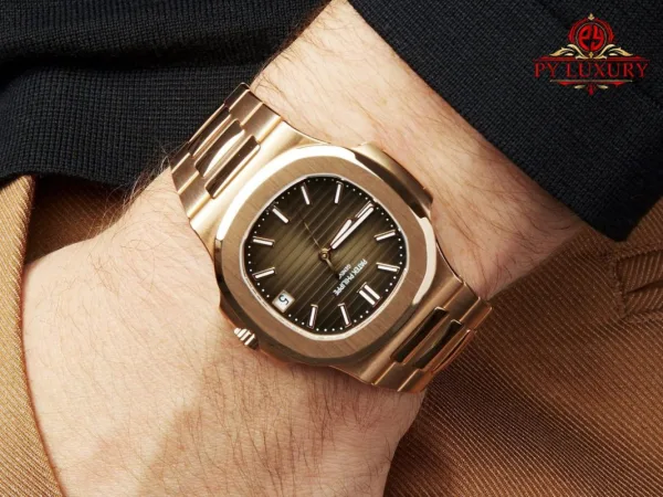 Factors to Consider When Selecting a Patek Philippe Collect